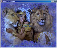 Click for a larger image