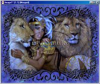 Click for a larger image